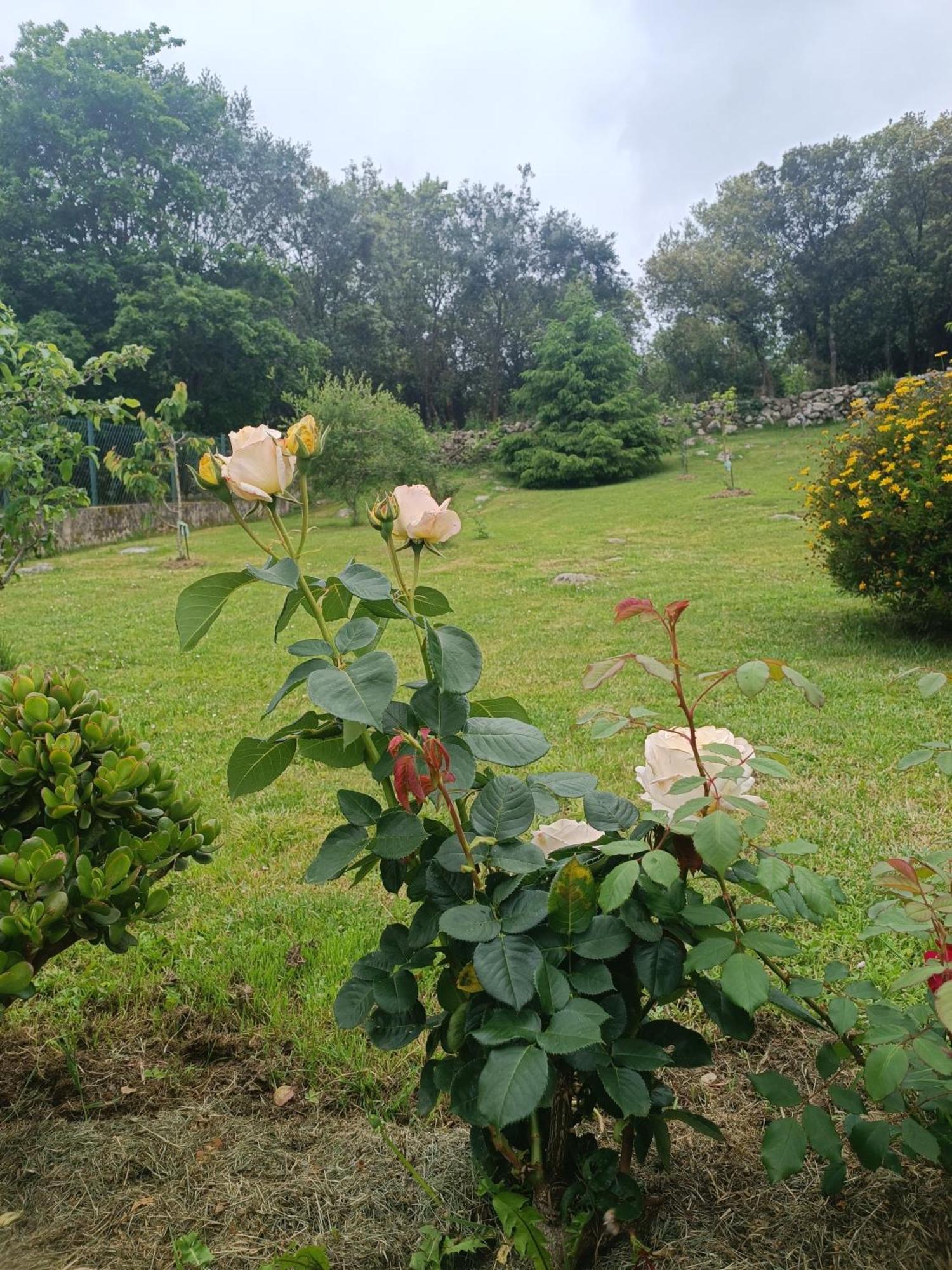 Casa Coba Villa Camijanes Eksteriør bilde